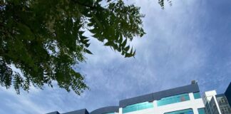 UCV apuesta por el Pregrado Semipresencial y transforma la forma de estudiar en el Perú
