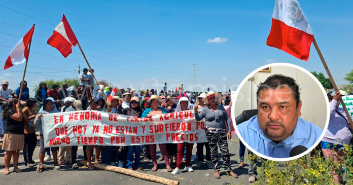 Compra estatal de arroz en Piura: más de 14 mil productores fueron inscritos, pero pocos venderían al Estado