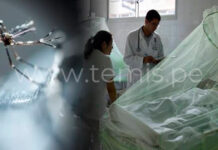 Piura: Más de 130 niños fueron diagnosticados con dengue en la región