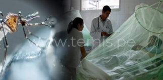 Piura: Más de 130 niños fueron diagnosticados con dengue en la región
