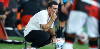 Alianza Lima prepara tres fichajes para el Clausura: Nicolás Díaz, Pedro Gallese y Jhair Soto serían las novedades ALIANZA LIMA TIENE TRES NUEVOS FICHAJES